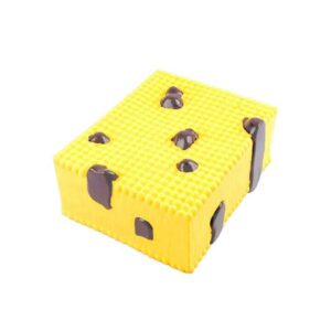 דגם ממברנה התא