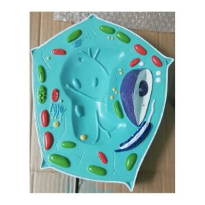 דגם-תא-צמחי