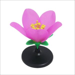 דגם פרח מתפרק